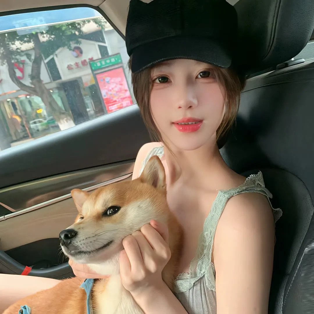 一周的朋友2014