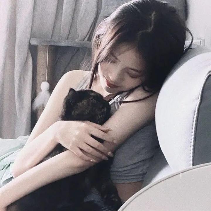 梦墙